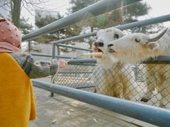 -长白岛森林公园