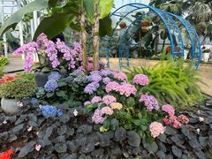 -石家庄市植物园