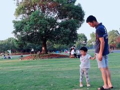 -艾溪湖湿地公园