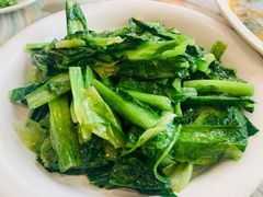 清炒油麦菜-椿记烧鹅(叠彩店)