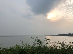 -贡湖湾湿地公园