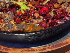 -老板恋上鱼(恒隆广场店)