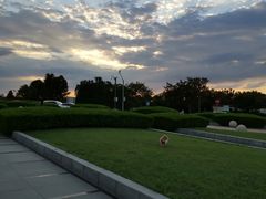 -南汇嘴观海公园