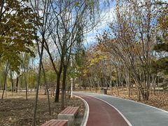 -绿堤公园