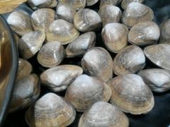 android_upload_pic-三千里韩式炭火烤肉(南八马路店)