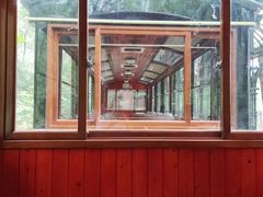 -合肥滨湖国家森林公园