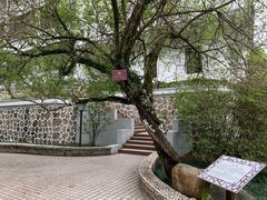-广东温泉宾馆