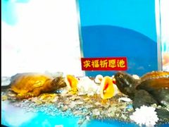 -苏州海洋馆