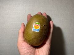-油麻地果栏