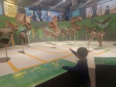 -国家自然博物馆