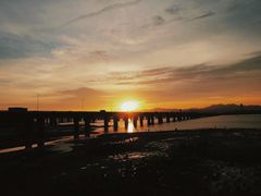 -海堤纪念公园