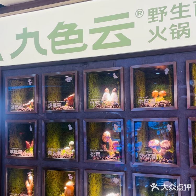 在长沙吃到云南的菇，鲜掉眉毛