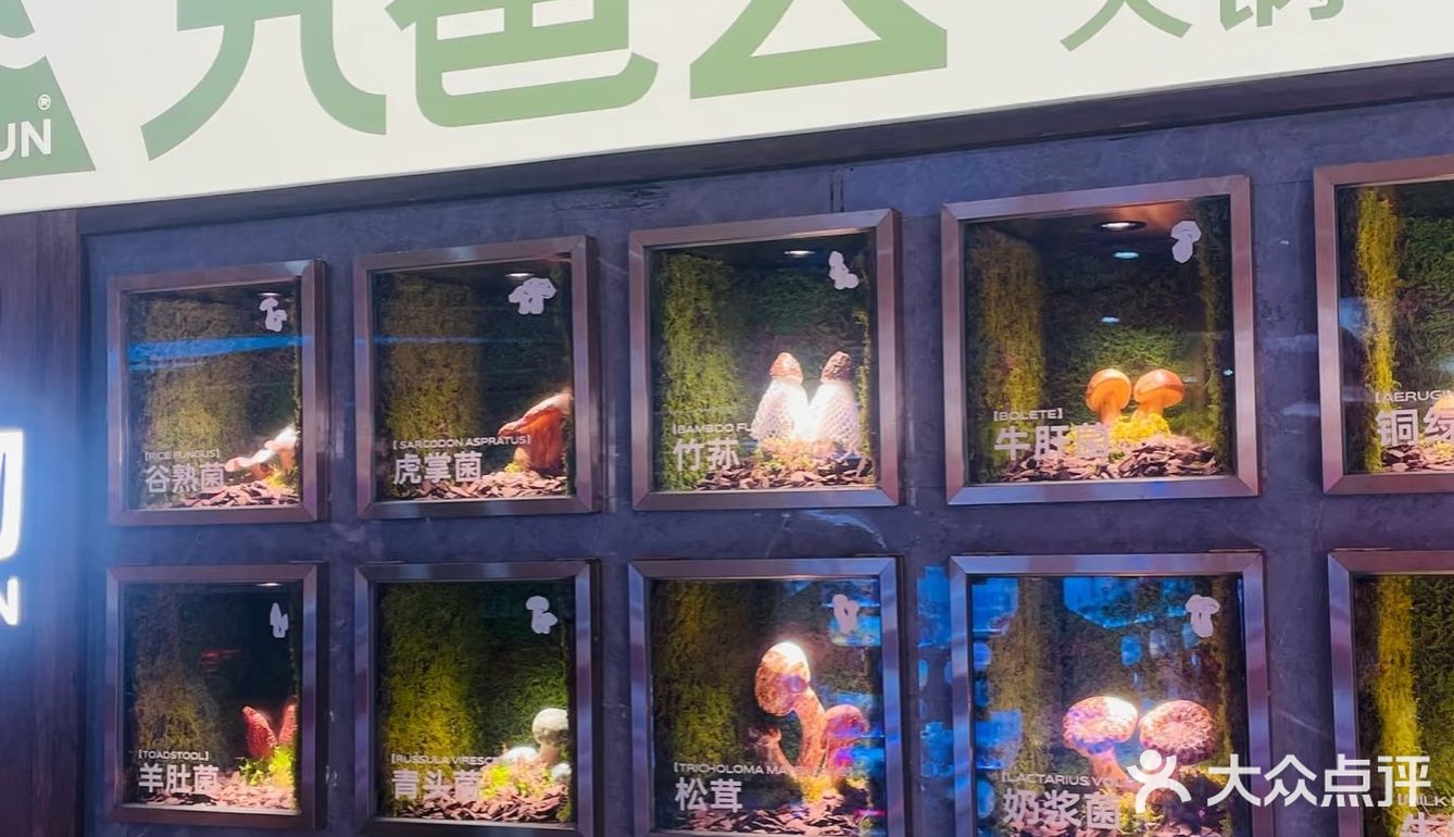 在长沙吃到云南的菇，鲜掉眉毛