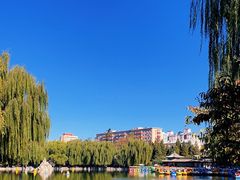 -团结湖公园