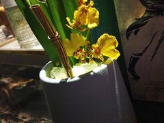 -STARRY CAFE & LOUNGE BAR(高新店)