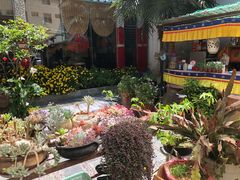 -尼玛藏家风味园(阿山食城店)