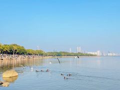 -深圳湾公园(南山区)