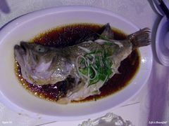 清蒸鲈鱼-蓬川食府(金海道店)