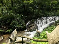 -莫里热带雨林景区