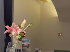 -法兰度航空主题餐厅(端州店)