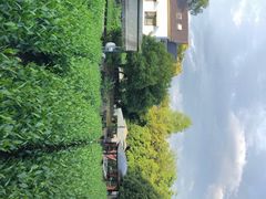 -自在弥林花园餐厅(云栖店)