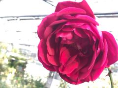 -龙达温泉生态城