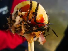 -大学城夜市大排档(凤栖路店)