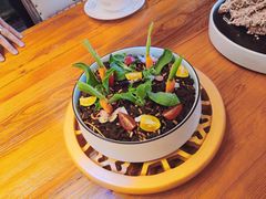 -瓦的音乐酒馆(象山店)