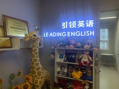 -引领英语·成人口语·雅思托福