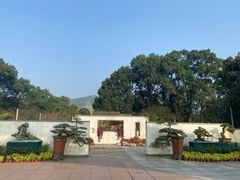 -南山植物园