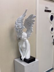 -紫洁俪方（北京）医疗美容