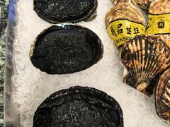-南海渔村·空中一号