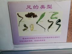 -上海昆虫博物馆