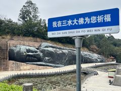-三水森林公园