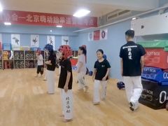 -嗨动跆拳道体能馆(菜百店)
