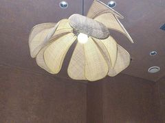 -阿露佳·舌尖上的安吉菜