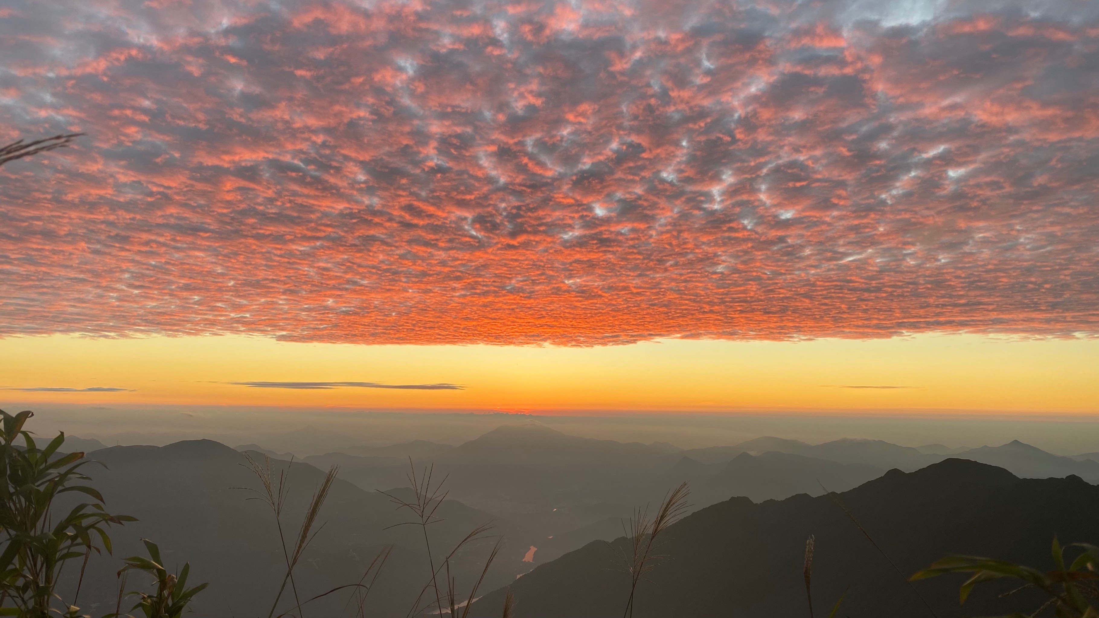 登高日出图片