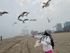 -y SEA·西班牙餐厅(阿那亚·北戴河店)