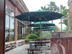 -雨林餐厅(长隆海洋王国店)