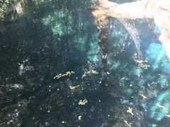 -蝴蝶泉公园
