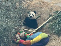 -大连森林动物园