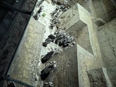 -秦始皇帝陵博物院(兵马俑)