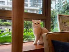 -咖法森林·咖啡  酒吧(天河店)