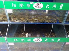 水产区-阳澄湖大闸蟹·琼灵阁牌品牌连锁(吴中总店)