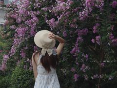 -杭州城北体育公园