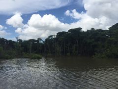 -东寨港红树林旅游区