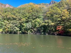 -关门山森林公园
