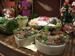 -良友花店(天目山路店)