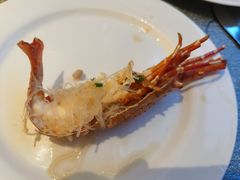 -赛瑞喜来登大酒店-盛宴自助餐厅