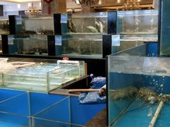 水产区-大铁勺新津菜(东丽阳光新业广场店)